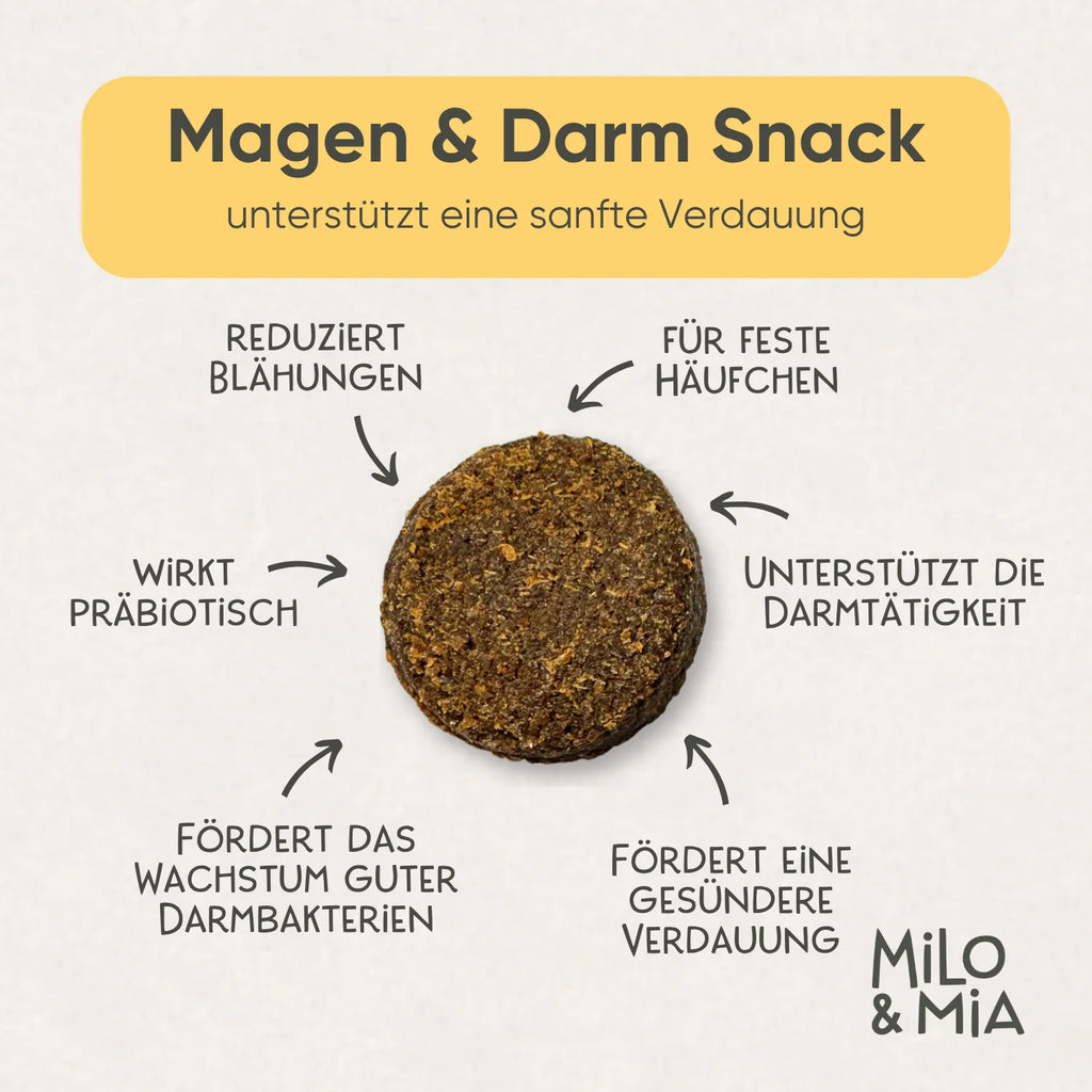 Milo & Mia Daily Bites Magen & Darm 300g