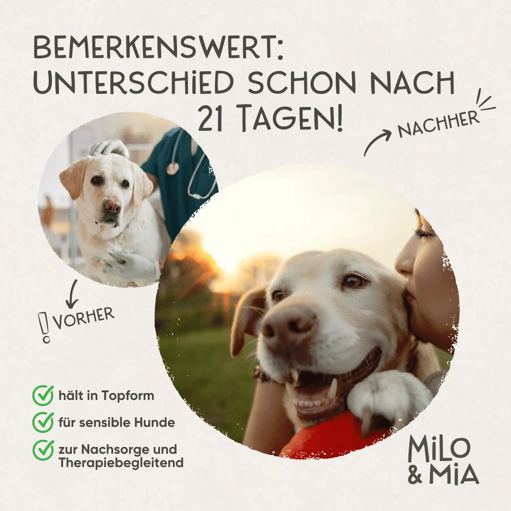 Milo & Mia Daily Bites Magen & Darm 300g