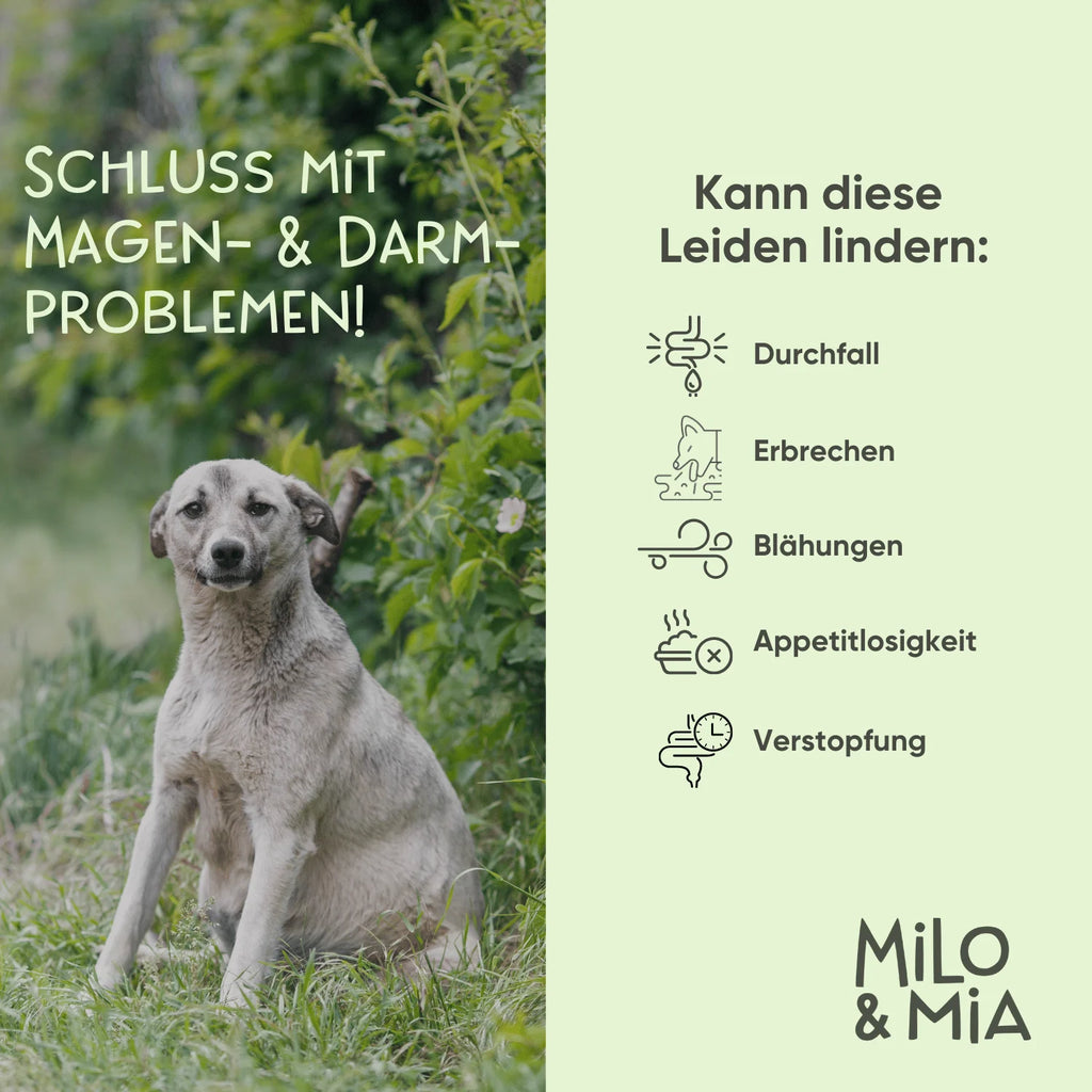 Milo & Mia Daily Bites Magen & Darm 300g