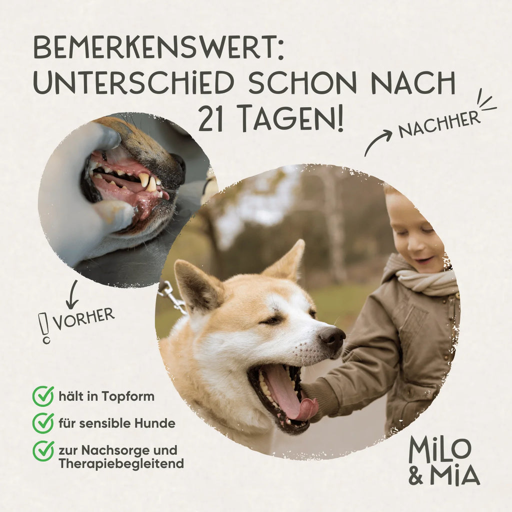 Milo & Mia Daily Bites - Dental Care Snack 300 g