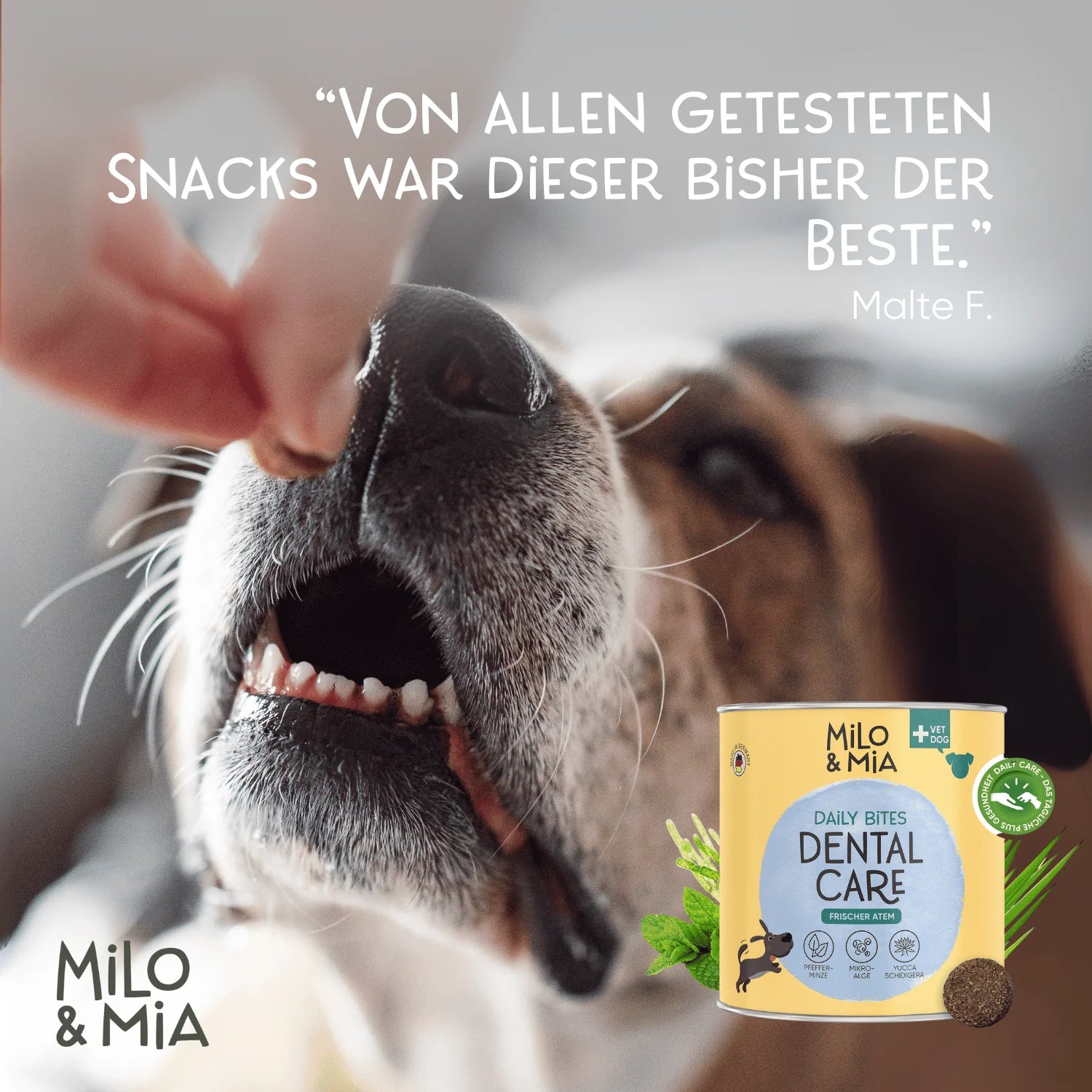 Milo & Mia Daily Bites - Dental Care Snack 300 g