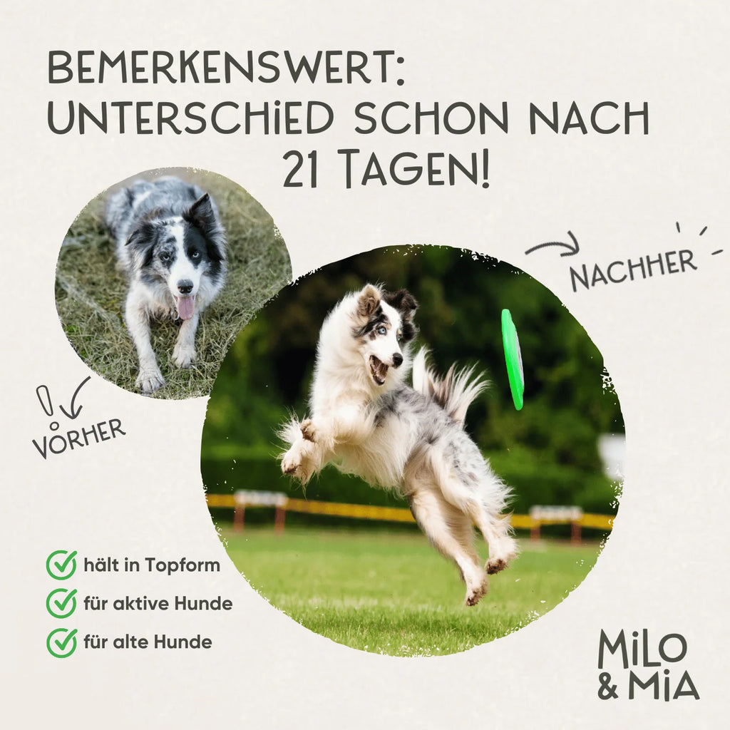 Milo & Mia Daily Bites - Knochen & Gelenke 300g