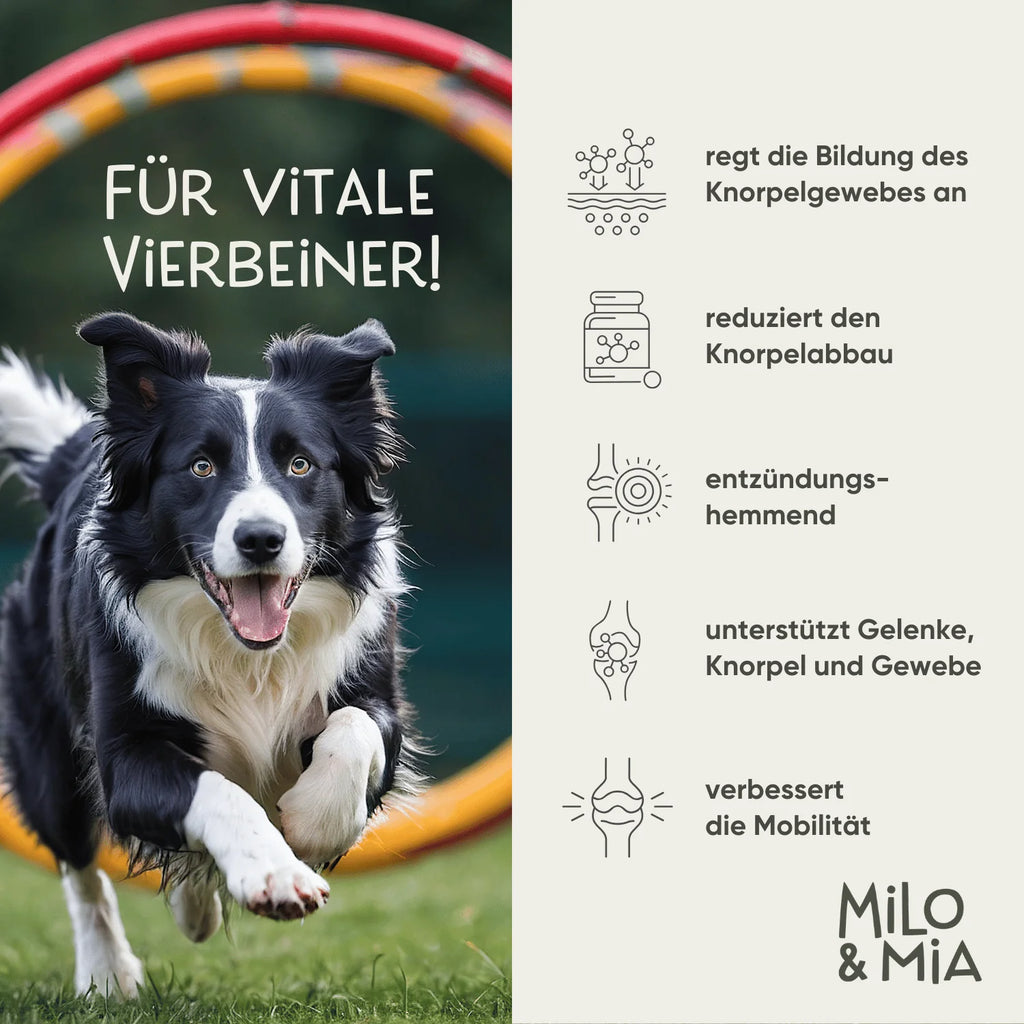Milo & Mia Daily Bites - Knochen & Gelenke 300g