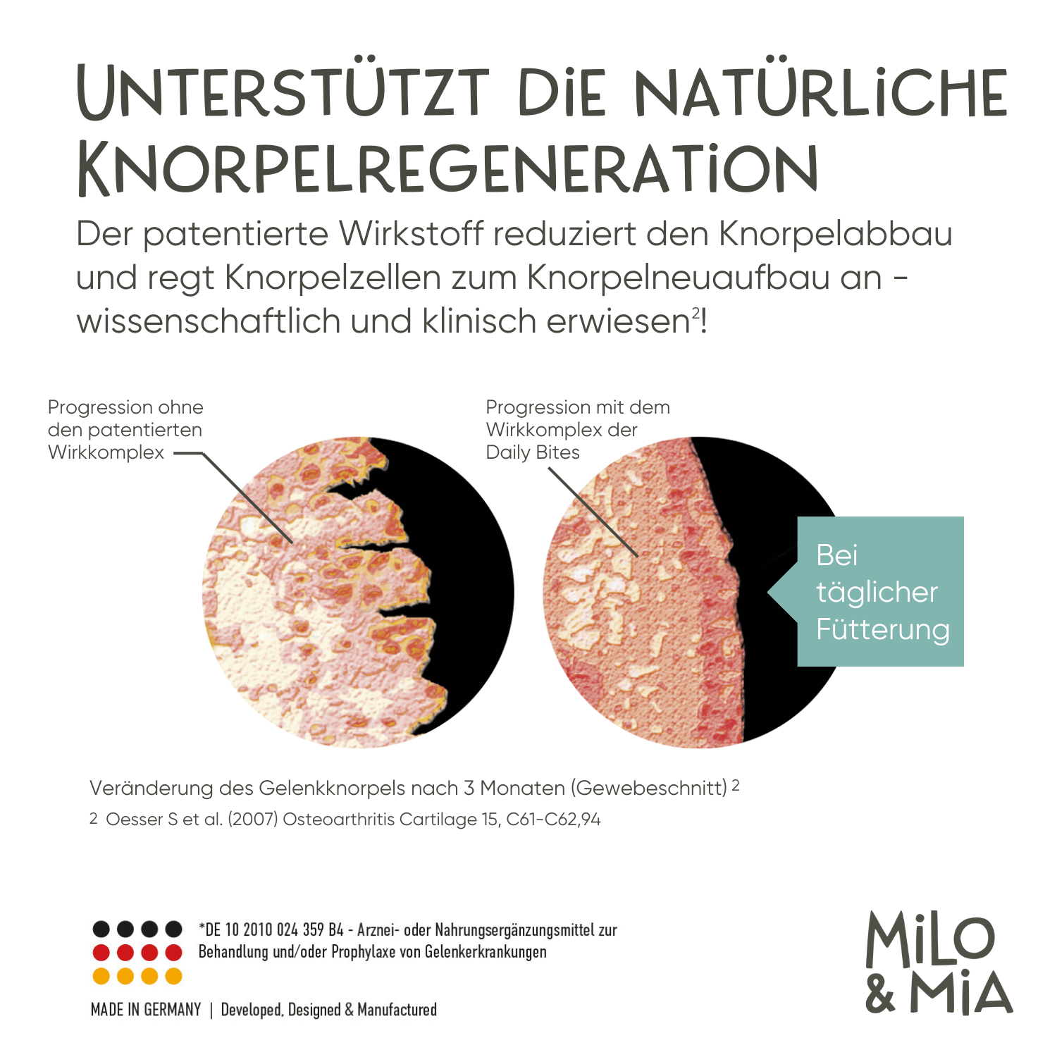 Milo & Mia Daily Bites - Knochen & Gelenke 300g